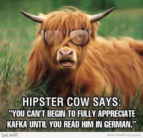 hipster-cow